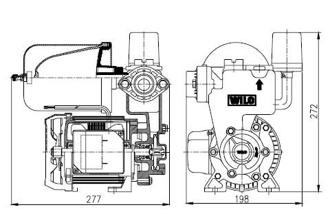 Схема для Насос самовсасывающий WILO PW-175 EA